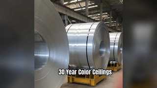 Ανθεκτικά Φύλλα Οροφής Αλουμινίου 30 Χρώμα