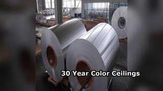 Ανθεκτικά Φύλλα Οροφής Αλουμινίου 30 Χρώμα