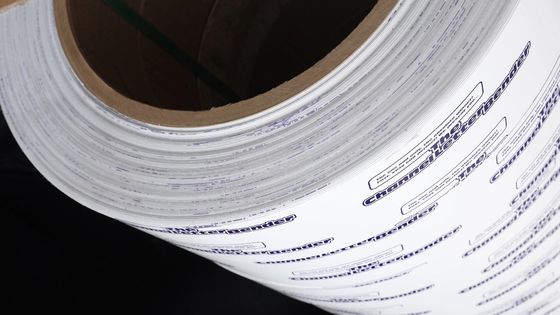 Κράμα αλουμινίου 3003 H14 λευκό και οι δύο πλευρές Colord αλουμινίου πηνίο προ-επικαλυμμένο αλουμινένιο πηνίο 300mm πλάτος 1.00mm για σημάδι γράμμα καναλιού